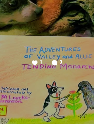 Pre-Order the Monarch Butterfly Duology