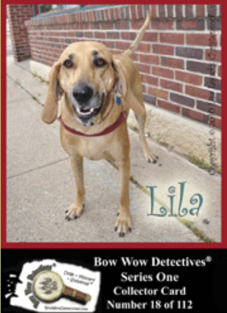 Photo Traders™ | Lila | Bow Wow Detectives®