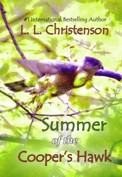 Summer of the Cooper's Hawk