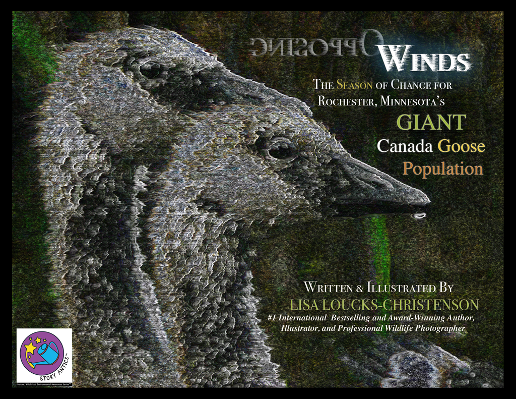 New Book and Exhibit by Lisa Loucks-Christenson, OPPOSING WINDS: The Season of Change for Rochester, Minnesota's Giant Canada Goose Population