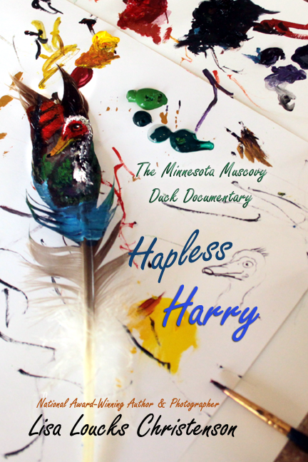 CoyWolf Entertainment™ Announces Upcoming 02/12/2022 Release of, Hapless Harry: The Minnesota Muscovy Duck Documentary