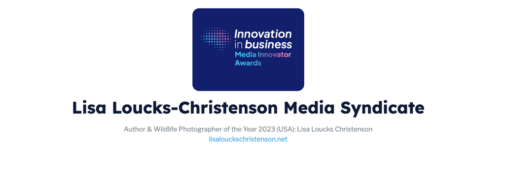 Lisa Loucks-Christenson Media Syndicate Innovation in Business Award