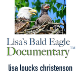 Lisa's Bald Eagle Documentary