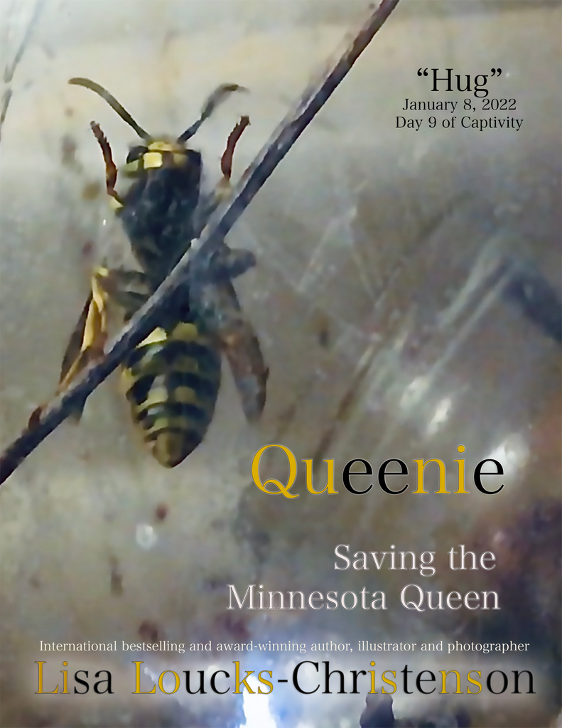 Lisa Loucks-Christenson's Current Documentary: Queenie: Saving the Minnesota Queen