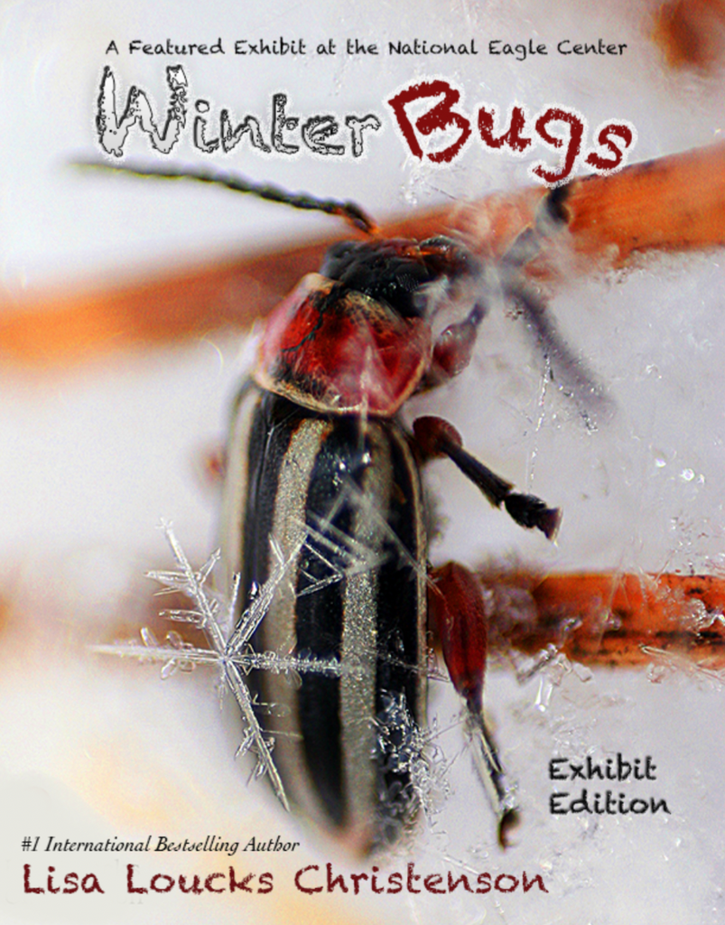 Winter Bugs Exhibit Edition | Hardcover Edition