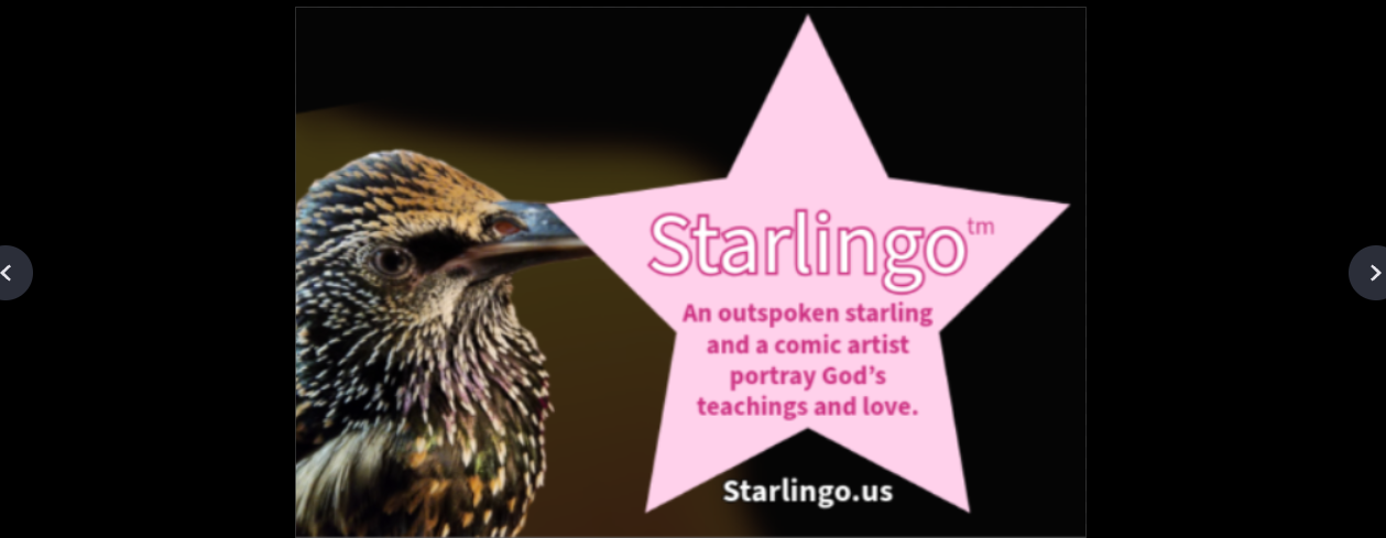 Starlingo(tm) Debut Comic