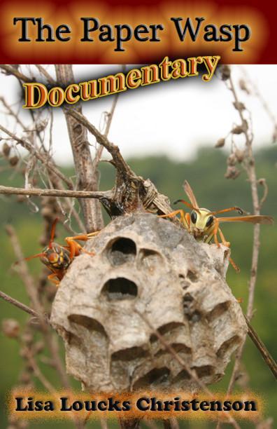 The Paper Wasp Documentary