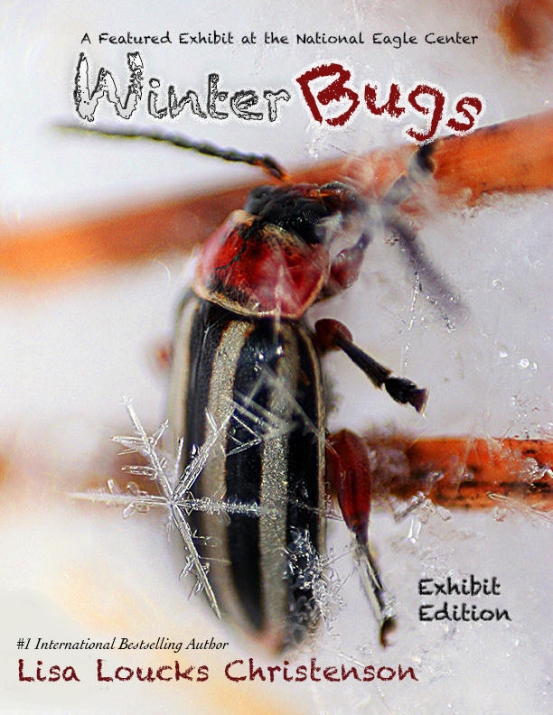 Winter Bugs! Exhibit Edition | of Whitewater™ Series | Ebook