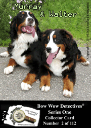 Electronic Photo Traders™ | Walter and Murray | Bow Wow Detectives®
