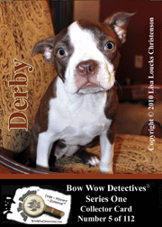 Photo Traders™  | Derby | Bow Wow Detectives®